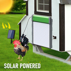 Solar Powere Automatic Chicken Coop Door Waterproof Cage Closer Opener Anti-Pinch with Timer Auto Light Sensor and Remote Control One Year Warranty