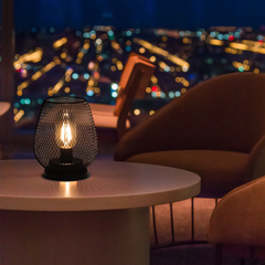 0.5W Metal Cage Light Set of 2 Cordless LED Table Lamp 3 Battery Powered with Soft Warm Light for Indoor Table Decor and Outdoor Weddings Parties Patio Events
