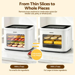 Devanti Food Dehydrator Machine 5 Tray Mini Fruit Dryer Maker White