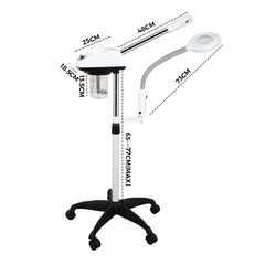 Alston Professional Facial Steamer/ Upgrade with 5X Magnifying Lamp and Timer Facial Humidifier Skin Care Beauty Spa Salon Machine Adjustable CE Approve