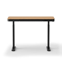 Artiss Motorised Standing Desk with Storage Drawer 120cm Wood Black