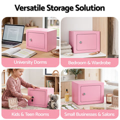 UL-Tech 6.5L Small Safe Box with Key Lock for Cash Mini Home Security Safe Pink