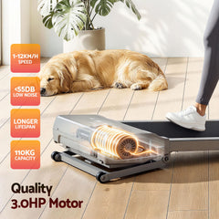 Everfit 3 in 1 Walking Pad Treadmill 20% Auto Incline Under Desk Treadmills for Home Gym With 40cm Wide Belt Sliver