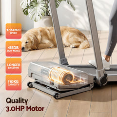 Everfit 3 in 1 Walking Pad Treadmill 20% Auto Incline Under Desk Foldable Treadmills for Home With 40cm Wide Belt Silver