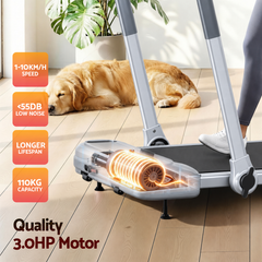Everfit 3 in1 Treadmill Electric Walking Pad with Incline Foldable for Home Gym Silver