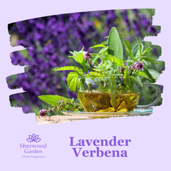 Lavender Verbena Soy Candle Tin 165g