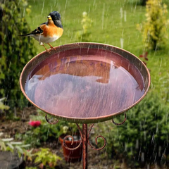 Vintage Metal Bird Bath with Pedestal Stand