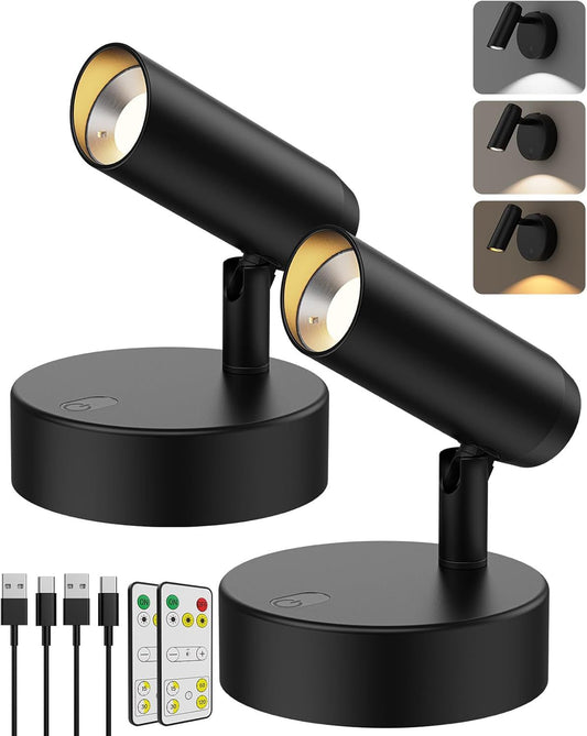 Spotlights Indoor, No-Glare Rechargeable Floor Can Light for Plants with Remote, Wireless Art Accent Spot Lights Uplight for Painting, Picture, Dartboard, Home, Corner Sofa Display 2PCS