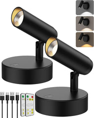 Spotlights Indoor, No-Glare Rechargeable Floor Can Light for Plants with Remote, Wireless Art Accent Spot Lights Uplight for Painting, Picture, Dartboard, Home, Corner Sofa Display 2PCS