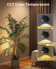 Zoomable Spot Lights Indoor, Rechargeable Picture Light with Remote, Dimmable CCT Spotlight for Wall Art, 6000mAh Uplights with Timer for Plant Artwork Painting Sofa Corner Black 2Pack