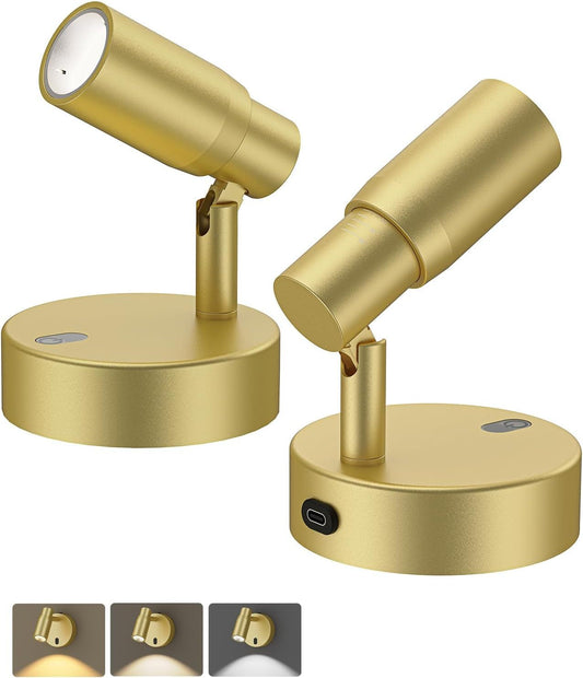 Spot Lights Indoor, Rechargeable Picture Light with Remote, Dimmable CCT Spotlight for Wall Art, 6000mAh Battery Uplights Indoor with Timer for Plant Artwork Painting Sofa Corner Light Gold