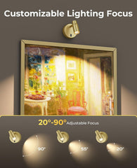 Spot Lights Indoor, Rechargeable Picture Light with Remote, Dimmable CCT Spotlight for Wall Art, 6000mAh Battery Uplights Indoor with Timer for Plant Artwork Painting Sofa Corner Light Gold