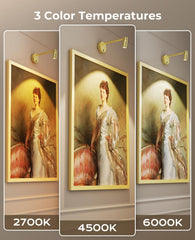 Picture Light for Wall, Battery Operated Art Light for Paintings CCT Dimmable Spotlight for Wall Art Wall Light with Remote Control for Living Room Gallery Dartboard Bathroom Light Gold