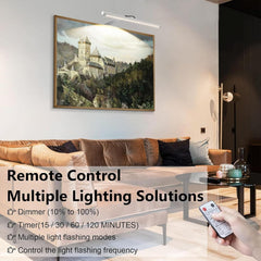 Picture Lights for Wall Plug in or Hardwired,3000K Warm White Dart Board Lights with Remote,13.5inches Silver LED Art Light Dimmbare mit Timer for Gallery Paintings Picture Dartboard