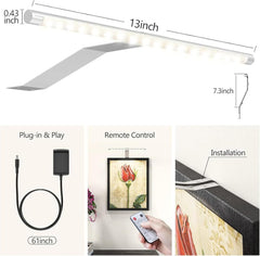 Picture Lights for Wall Plug in or Hardwired,3000K Warm White Dart Board Lights with Remote,13.5inches Silver LED Art Light Dimmbare mit Timer for Gallery Paintings Picture Dartboard