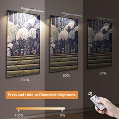 Picture Lights for Wall Plug in or Hardwired,3000K Warm White Dart Board Lights with Remote,13.5inches Silver LED Art Light Dimmbare mit Timer for Gallery Paintings Picture Dartboard