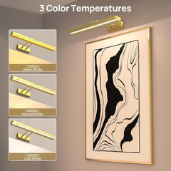 Picture Light Battery Operated, 16in Wireless Art Light for Paintings CCT Dimmable Recharging Battery Picture Light with Remote Control for Gallery Dartboard Art Bedroom Bathroom Gold