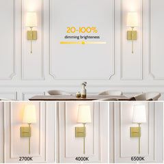 Battery Operated Wall Sconce, 5000mAh Rechargeable Dimmable RGB Wall Sconce Set of 2 with Remote, 3 Color Temperature Indoor Battery Powered Wall Lamp Light for Bedroom Living Room