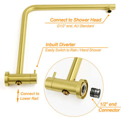 Brushed Gold Twin Shower Large Round 12" Rain Head Metal Rose Silde Wall Rail Arm Mixer Valve