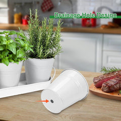 Herb Garden Planter Indoor Kit – 6 Metal Pots with 2 Trays for Windowsill & Kitchen Counter – Modern Decorative Indoor Planters for Herbs, Succulents & Small Plants, White