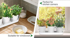 Herb Garden Planter Indoor Kit – 6 Metal Pots with 2 Trays for Windowsill & Kitchen Counter – Modern Decorative Indoor Planters for Herbs, Succulents & Small Plants, White