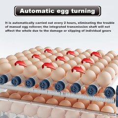 CARLA HOME 128 Egg Incubator with Automatic Turning, LED Display, Humidity & Temperature Control, Auto Water System & Built-in Egg Candler for Chicken, Duck, Quail, Goose