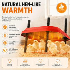 CARLA HOME Chick Brooder Heating Plate - Adjustable Height - Red - Chicken Heater