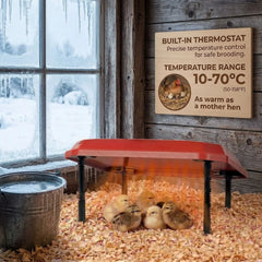 CARLA HOME Chick Brooder Heating Plate - Adjustable Height - Red - Chicken Heater