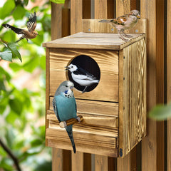 Owl Nesting Box Bird Feeder Paulownia Wood Acrylic