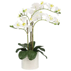 Artificial Orchid With Ribbed Pot 67cm