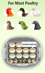 Automatic Egg Incubator 16-30 Eggs Chicken Duck Poultry Hatcher Breeder Candler