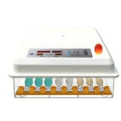 64 Egg Incubator Fully Automatic Digital Thermostat Chicken Eggs Poultry