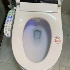 Electric Toilet Bidet Seat Cover Auto Massage Washlet Bathroom Warm Water Dry AU