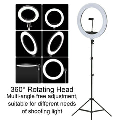 120cm 10"LED Ring Light Dimmable Lighting Kit Phone+Selfie Tripod Makeup Live Lamp