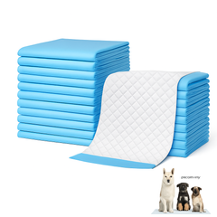 Pet Training Pads Puppy Dog Toilet Thickened Pee Mat Indoor Super Absorbent Pad