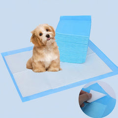 Pet Training Pads Puppy Dog Toilet Thickened Pee Mat Indoor Super Absorbent Pad