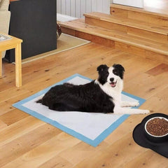 Pet Training Pads Puppy Dog Toilet Thickened Pee Mat Indoor Super Absorbent Pad