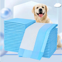 Pet Training Pads Puppy Dog Toilet Thickened Pee Mat Indoor Super Absorbent Pad
