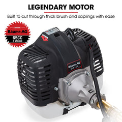 Baumr-AG 65CC Brushcutter Whipper Snipper Trimmer Brush Cutter Multi Pole Tool