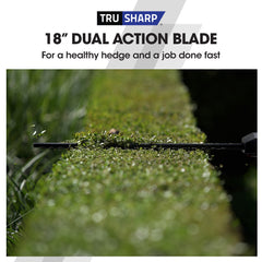 BAUMR-AG 20V SYNC Cordless Pole Saw & Hedge Trimmer Combo, 8 inch Chainsaw Pruner, Telescopic Handle, with Battery and Charger Kit