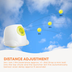 Hyper Fetch Mini Dog Ball Launcher - Automatic Interactive Indoor Small Pet Toy