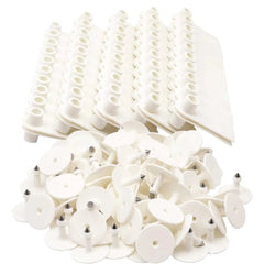 100x Cattle Ear Tags 5x2cm Set - Mini White Blank Pig Goat Livestock Label