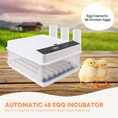 Automatic 48 Egg Incubator - Electric Digital Turning Chicken Quail Duck Hatching