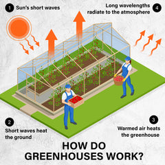 Garden Greenhouse Walk-In Shed 3.5x2x2M PE Apex