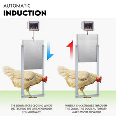 Automatic Chicken Coop Door Opener Cage Closer Timer and Light Sensor