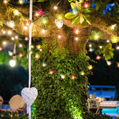 50 Rainbow 3D Hollowed Rattan Heart-Shaped 5M LONG String Fairy Lights, Battery (AA) Indoor & Outdoor Decorations Birthday Kids Celebration PartyRoom Table Lighting