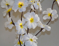 1 Set of 50cm H 20 LED White Frangipani Tree Branch Stem Fairy Light Wedding Event Party Function Table Vase Centrepiece Decoration
