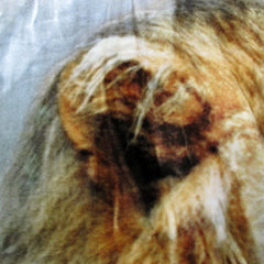 800GSM Luxury Reversible Animal Pattern Mink Blanket Queen 200 x 240 cm Lion Tiger Brown