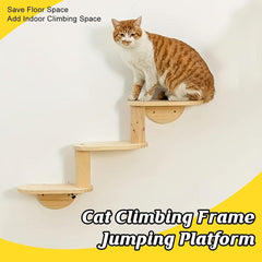 Solid Wood Wall Mounted Cat Climbing Tree Rack Platform Space Capsule Bed Shelf