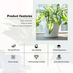 6PCS Simple Plastic Round Plant Pots Vertical Stripes Flower Pot Green Gardening - White